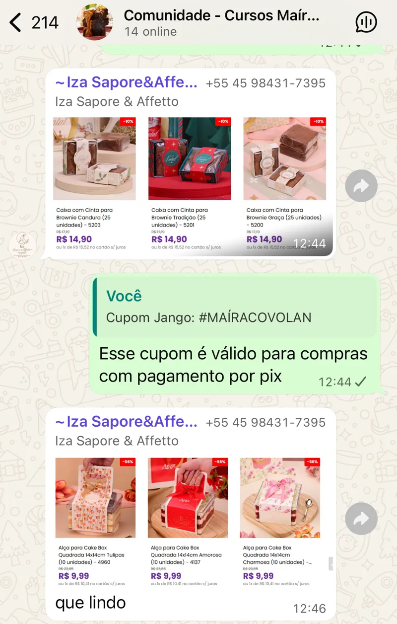 Print do grupo exclusivo de alunos no WhatsApp