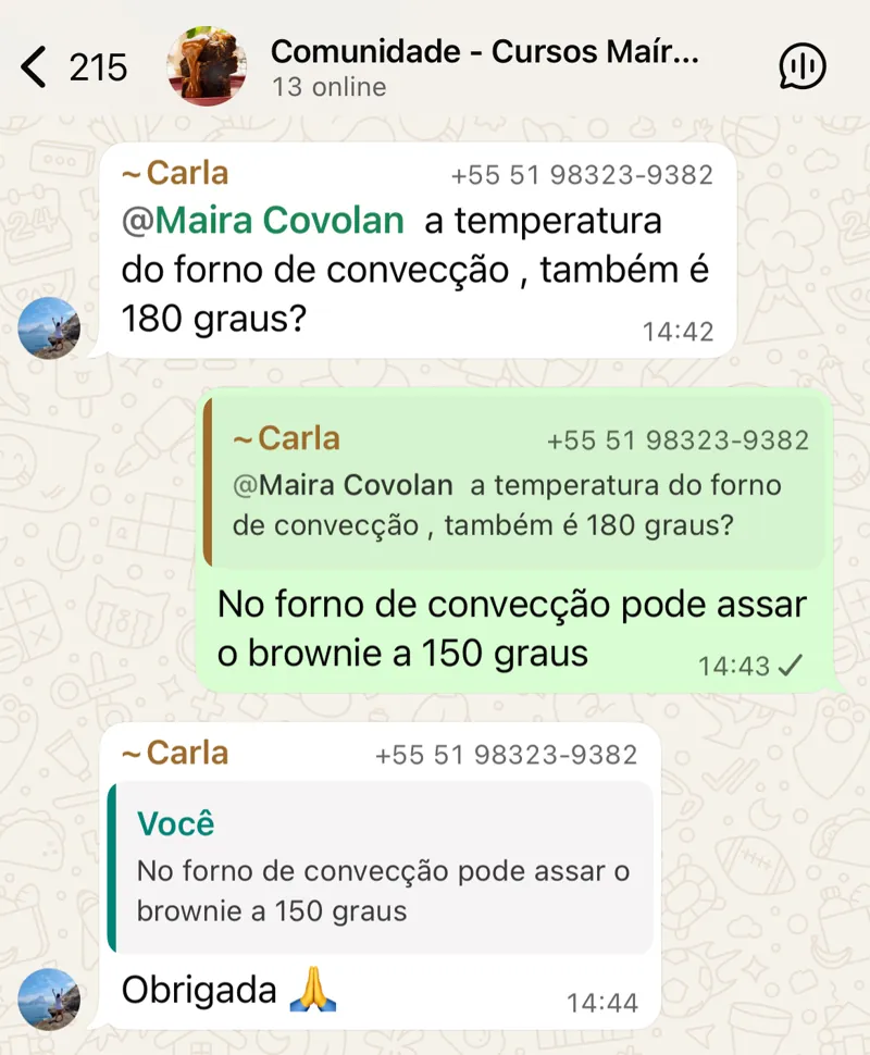 Print do grupo exclusivo de alunos no WhatsApp