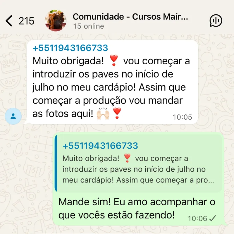 Print do grupo exclusivo de alunos no WhatsApp